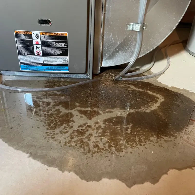 Appliance Leak Cleanup in Pawlet, VT